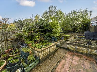 Garden: